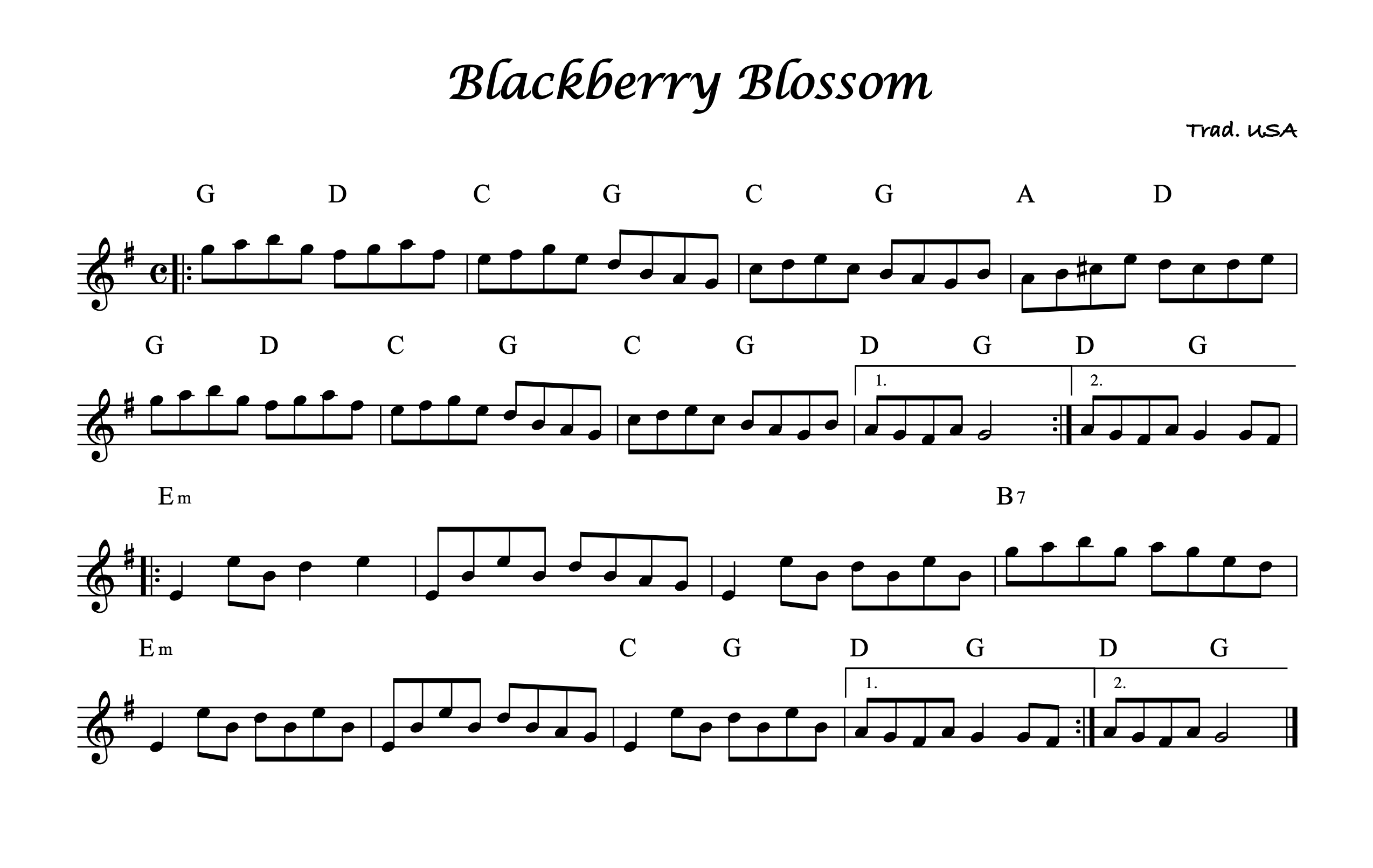 Blackberry Blossom - Version 2